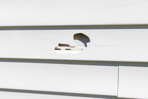 Best Fascia and Soffit Installation  in Liberty Triangle, FL